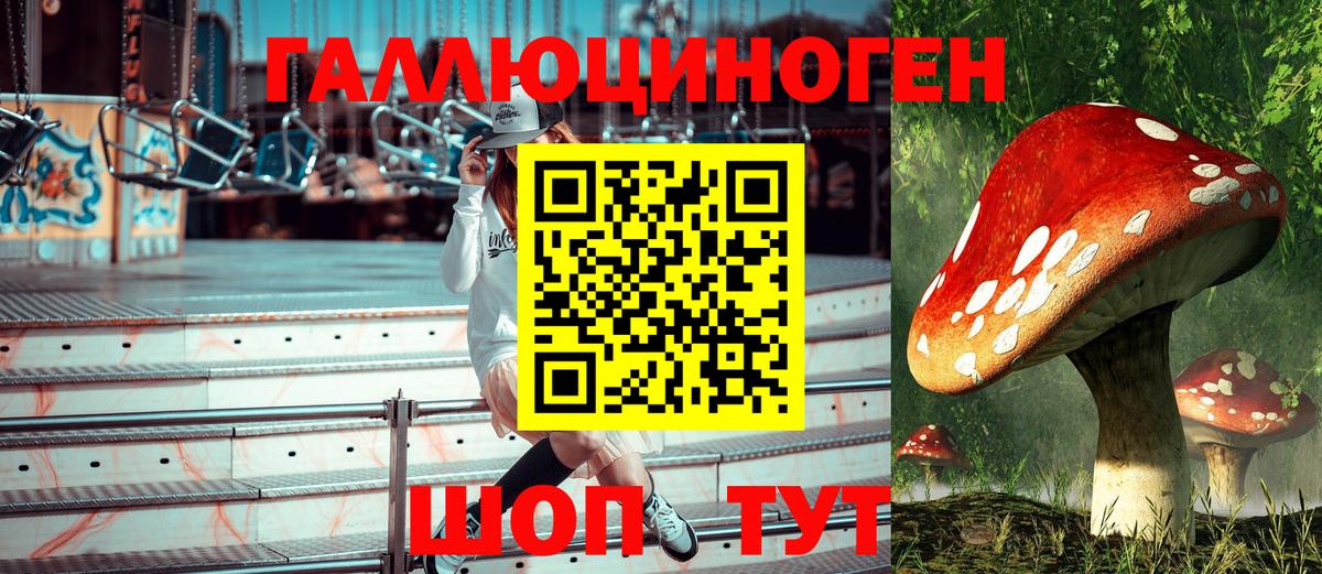 Саянск  Псилоцибиновые грибы ЛСД  Вход с VPN 